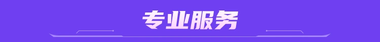 专业服务